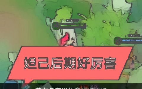 莱在名字里的意思好不好