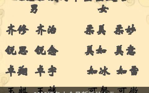 2023取名大全最新版的女儿