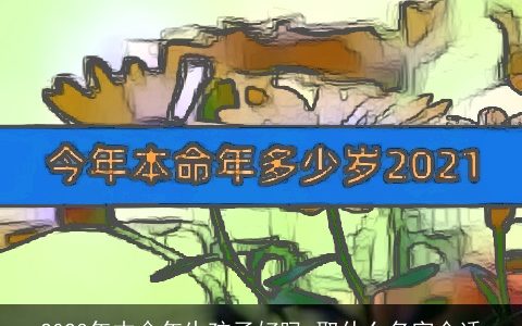 2024年本命年生孩子好吗 取什么名字合适