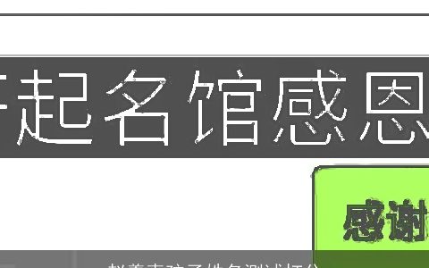 赵羲麦孩子姓名测试打分