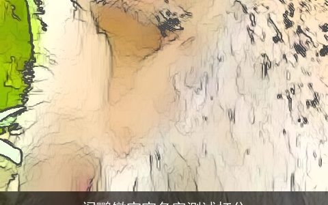 阎鹦镦宝宝名字测试打分