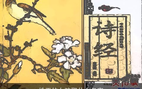 姓王的女孩取什么名字