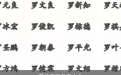 罗姓宝宝名字大全