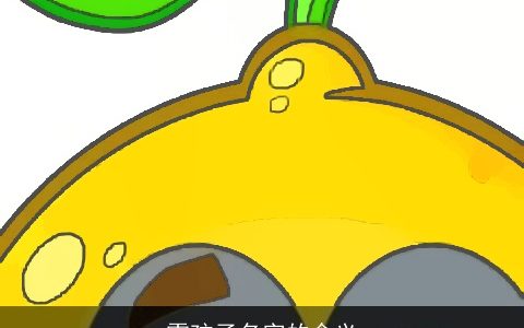 雷孩子名字的含义