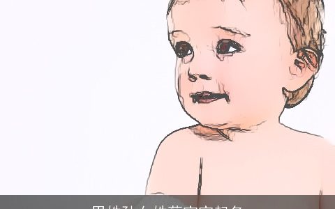 男姓孙女姓蔡宝宝起名