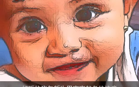 好听的狗年新生男宝宝起名的注意