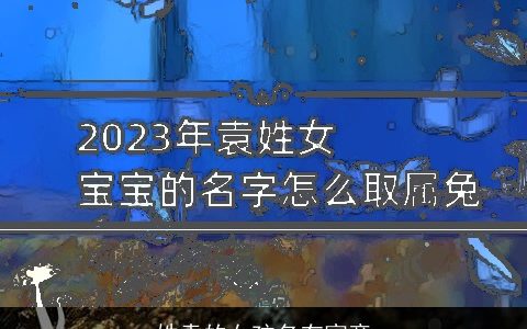 姓袁的女孩名有寓意