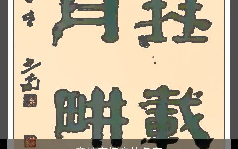 齐姓有诗意的名字