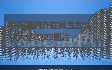 齐姓起名字大全