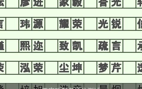 王家瑶起名评分测试