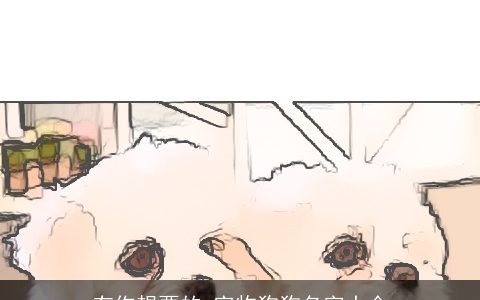 有你想要的 宠物狗狗名字大全