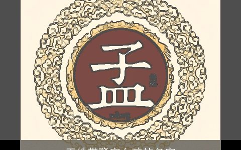 王姓带鹭字女孩的名字