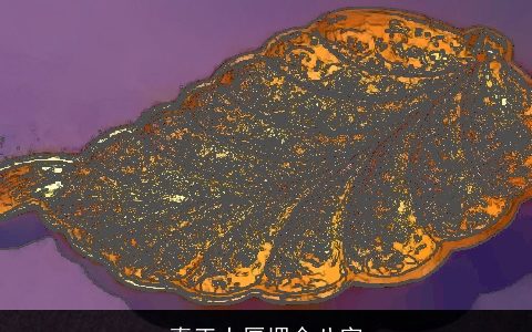 真正土厚埋金八字