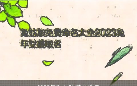 2023年孔女孩满分姓名