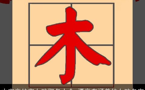 木字旁的字女孩取名大全 漂亮有涵养的女孩名字