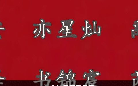 姓金四字宝宝名字
