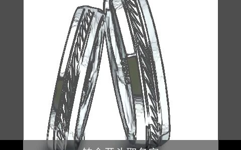 铂金开头取名字