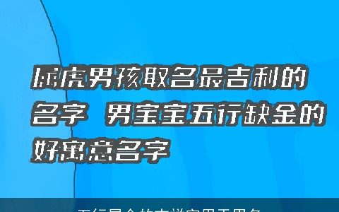 五行属金的吉祥字用于男名