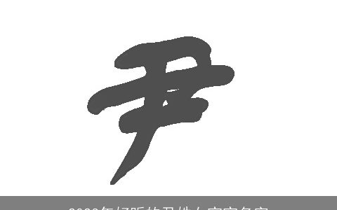 2024年好听的尹姓女宝宝名字