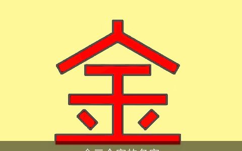 金三个字的名字
