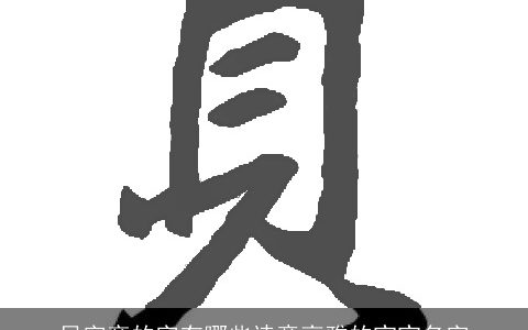 贝字旁的字有哪些诗意高雅的宝宝名字