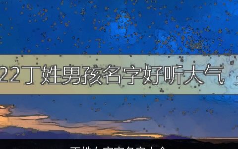 丁姓女宝宝名字大全