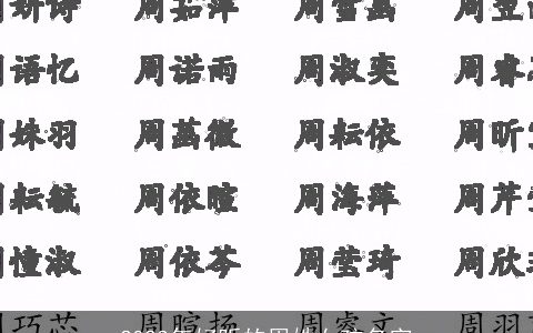 2024年好听的周姓女孩名字