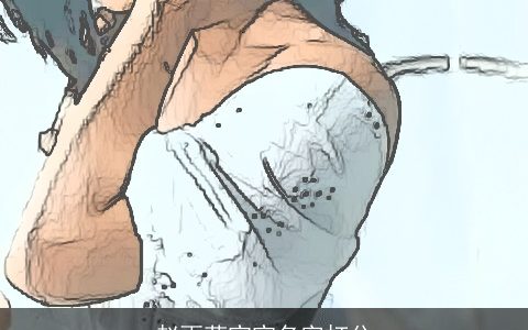 赵雨菲宝宝名字打分