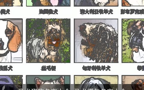 马犬狗狗名字大全 马犬霸气名字大全