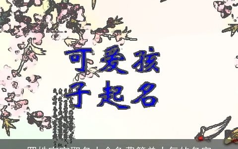 罗姓宝宝取名大全免费简单大气的名字
