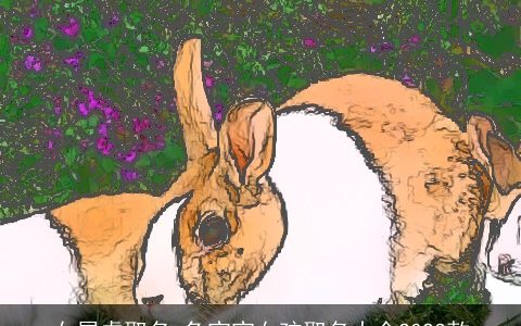 女属虎取名 兔宝宝女孩取名大全2023款