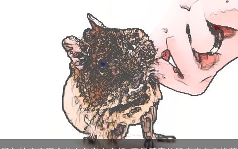 鼠年给宝宝取个什么名字大全好 霸气漂亮的鼠宝宝名字推荐