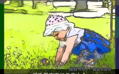 郑氏男宝宝的名字大全