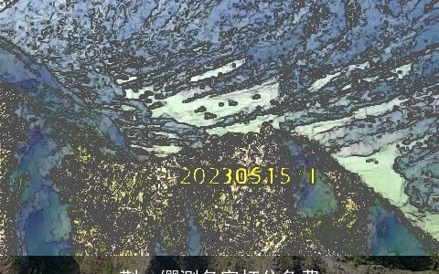 荆一缨测名字打分免费