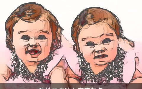 陈姓双胞胎女宝宝起名