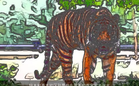 缺木和喜木的区别是什么属木的虎宝宝名字大全独一无二好听的五行属木的虎宝宝名字大全