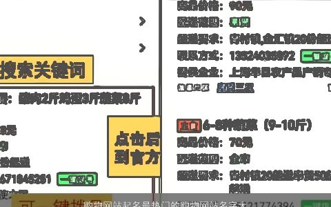 购物网站起名最热门的购物网站名字大全2023有涵养洋气的宝宝名字大全