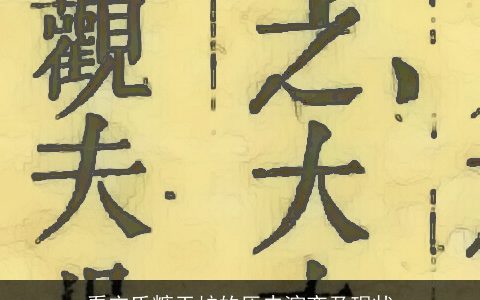 看宋氏糖干炉的历史演变及现状