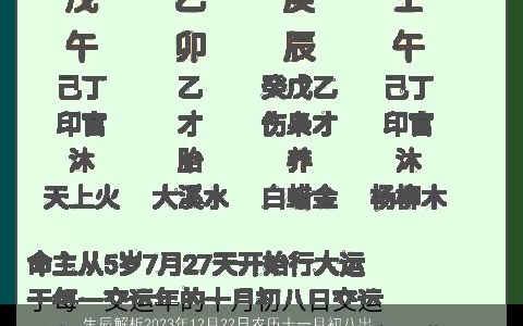 生辰解析2023年12月22日农历十一月初八出生的孩子八字起名大全 吉利新颖的八字名字大全最新