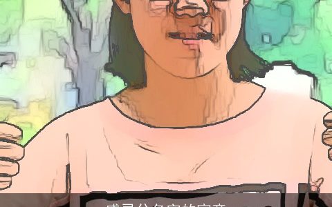 盛灵兮名字的寓意