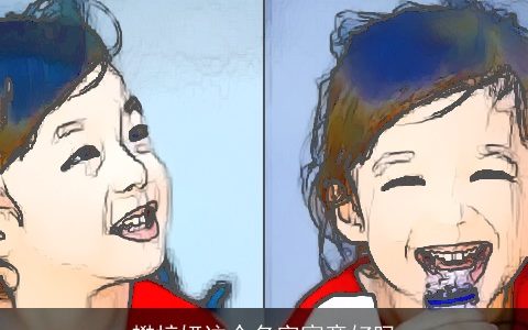 樊梓妍这个名字寓意好吗