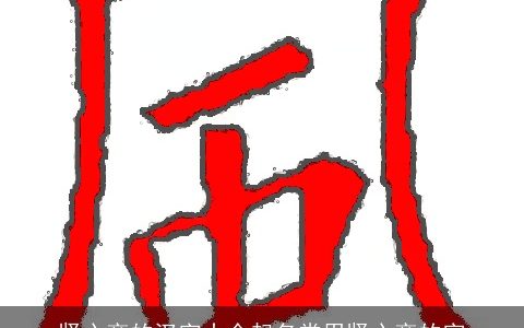 竖心旁的汉字大全起名常用竖心旁的字