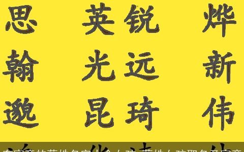 有寓意的蔡姓名字大全女孩 蔡姓女孩取名及寓意