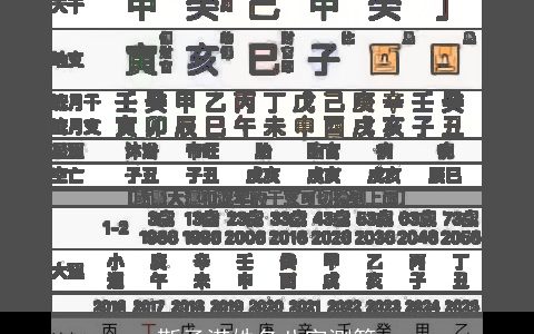 靳子渃姓名八字测算