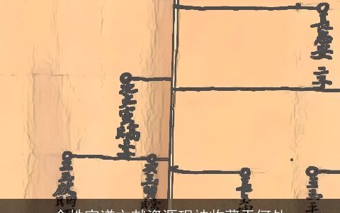 金姓家谱文献资源现被收藏于何处