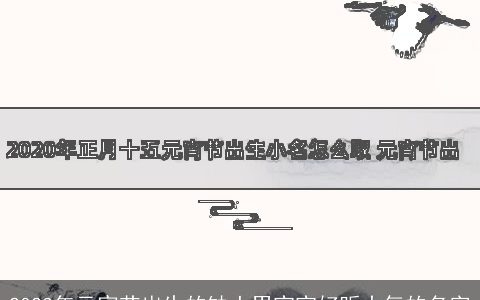 2024年元宵节出生的缺土男宝宝好听大气的名字