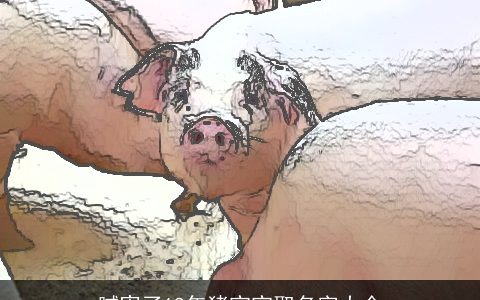 腻害了19年猪宝宝取名字大全