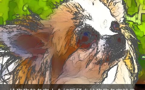 给狗狗起名字大全好听稀少的狗狗名字精选