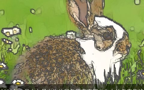 2023年八月十九日出生的属兔男宝宝阳光向上的名字集锦