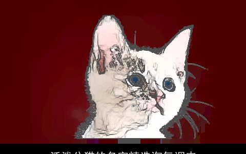 活泼公猫的名字精选淘气调皮